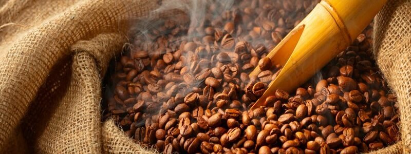 Togo : la campagne 2026-2027 de commercialisation du café et du cacao lancée