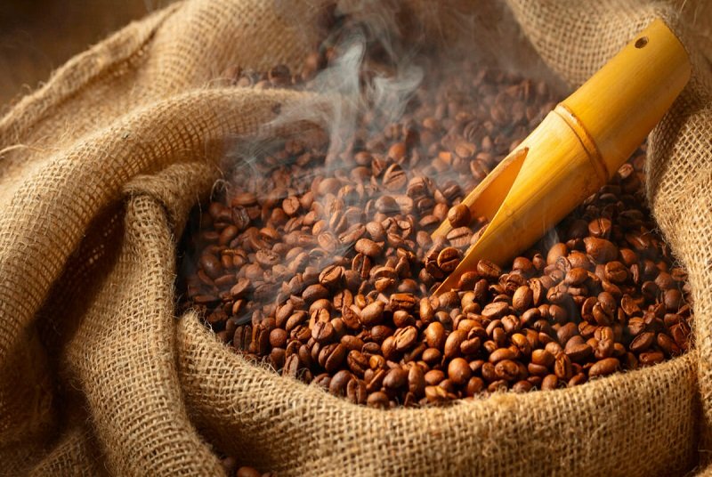 You are currently viewing Togo : la campagne 2026-2027 de commercialisation du café et du cacao lancée